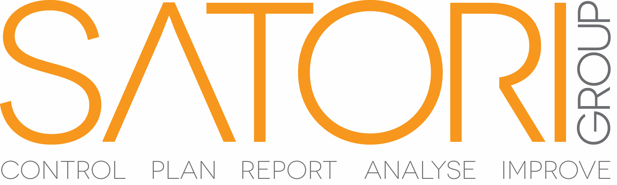 Satori Group logo