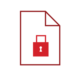 Security icon