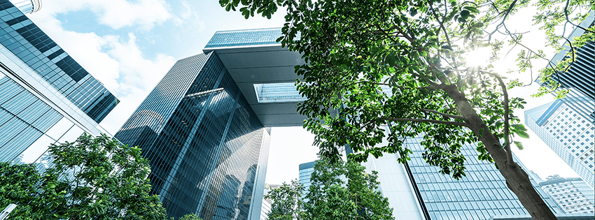 Sunshine coming through trees in front of a group of office buildings
