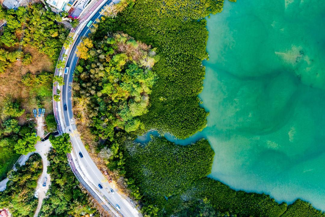 sustainable growth