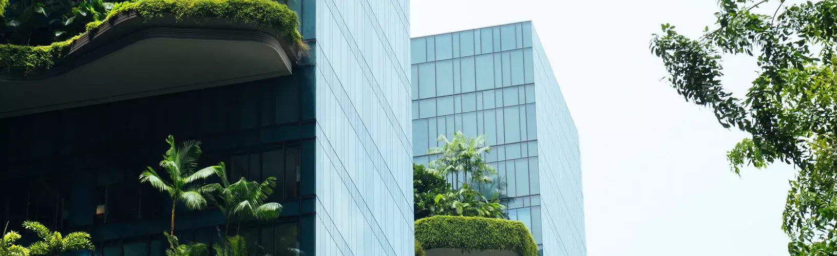 Corporate building among trees