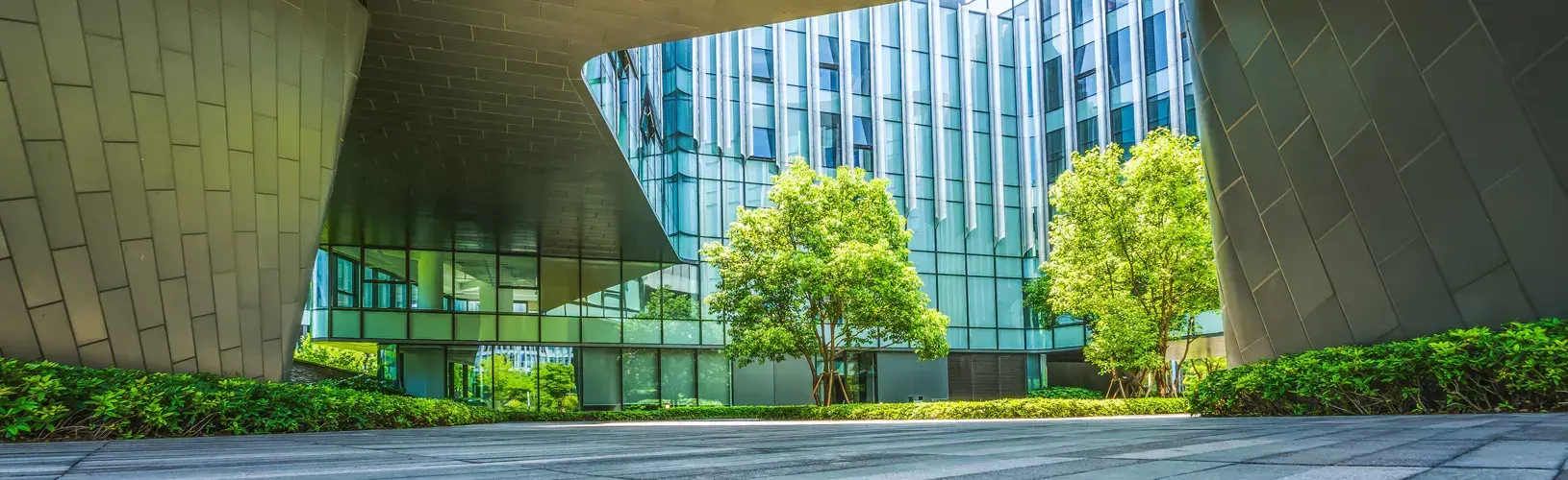 Man considers ESG policies for his organization