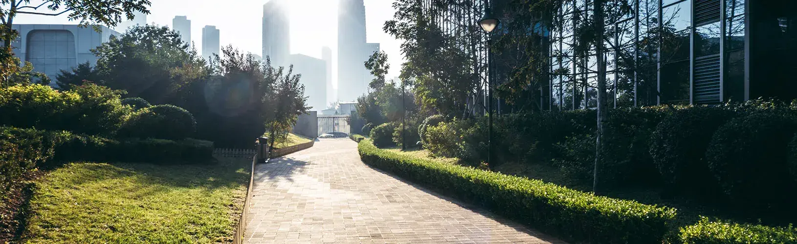 City skyline and trees representing earth day