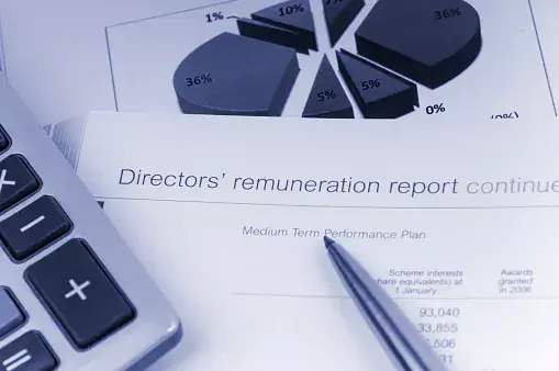 A remuneration report signifying the remuneration committees role in corporate governance.