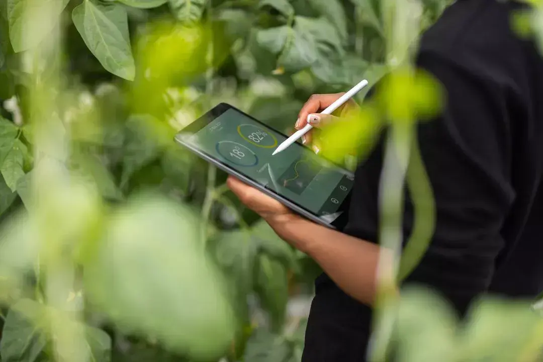 Someone using tablet within a green space